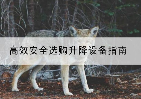 罗山升降货梯厂家推荐-*安全选购升降设备指南