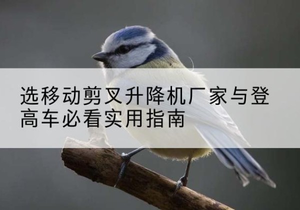 罗山电动升降机厂家-选移动剪叉升降机厂家与登高车必看实用指南