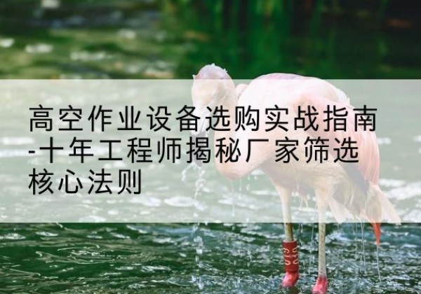 罗山剪叉式升降机厂家-高空作业设备选购实战指南-十年工程师揭秘厂家筛选核心法则